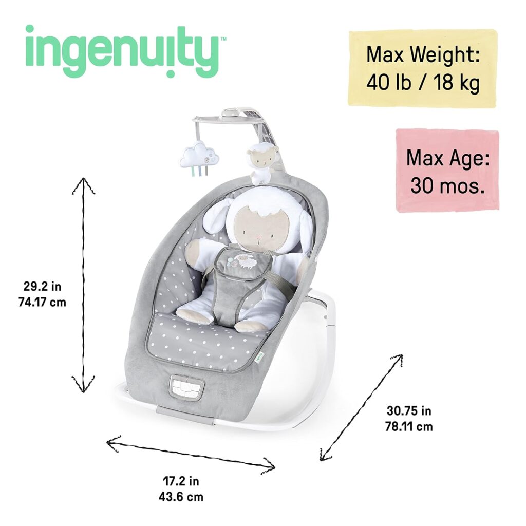 Ingenuity Rocker and Baby Bouncer