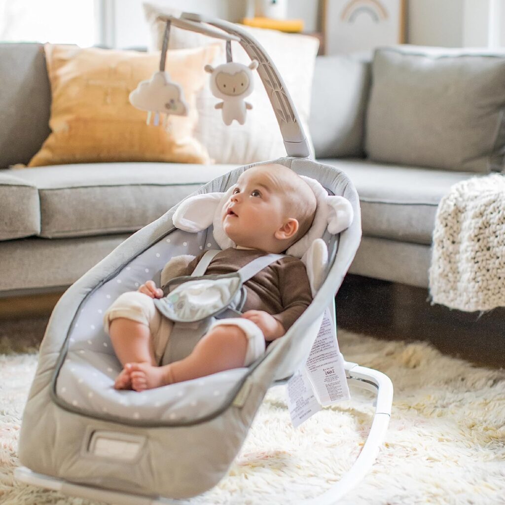 Ingenuity Rocker and Baby Bouncer